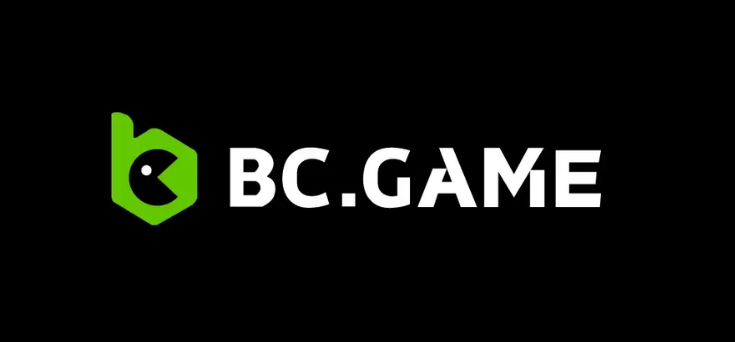 Complete Guide to BC.Game BR Registration 1737616941