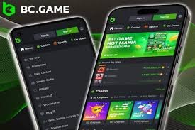 Join BC.Game in Pakistan Your Gateway to Exciting Online Gaming 707272051