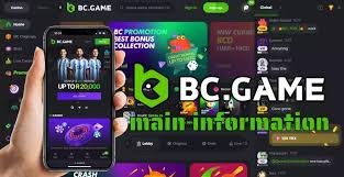 The Thrills of Game and Chance at BC.Game Crypto Casino